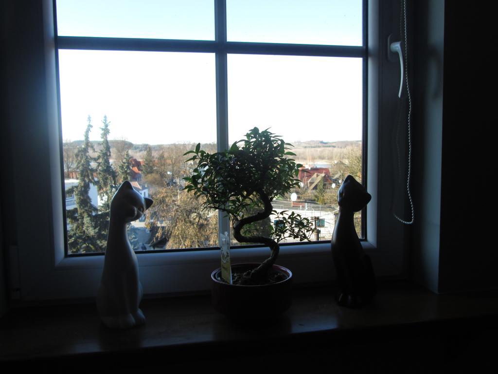 Apartamenty Przy Farze カジミエシュ・ドルニ 部屋 写真